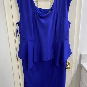 Lane Bryant size 22 dress